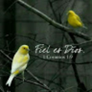 Meet your Posher, Edith